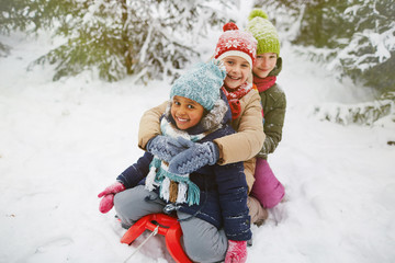 Girls on sledge