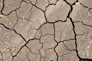 The broken soil texture on the ground นด farmland