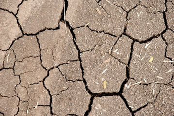The broken soil texture on the ground นด farmland