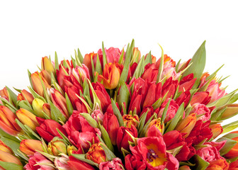 bouquet of fresh spring tulip flowers