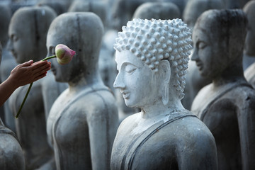 la main donne le respect par la fleur de lotus à l& 39 image de bouddha