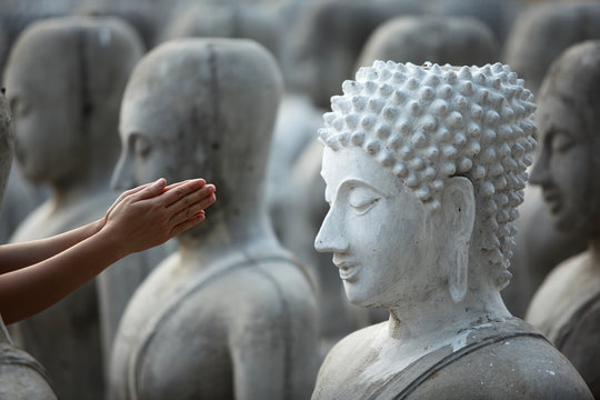 hand give respect to buddha image