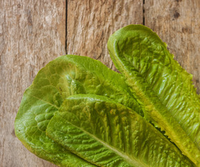 Fresh lettuce leaves close up on wooden backgrond