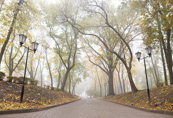 Gomel / Belarus - October 23, 2015: Morning. walk in the park Lu