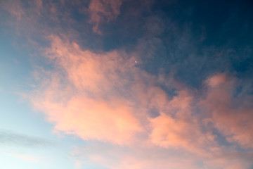 Fototapeta premium 空