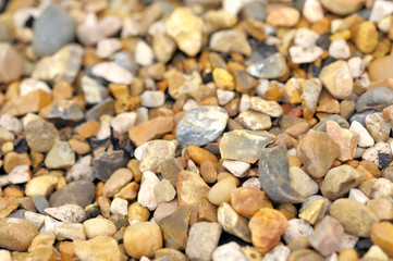 Wet stones on the beach, shallow DOF closeup photo