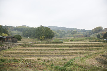 Fototapeta premium Landscape photographs of countryside in Nara, Japan, in Autumn