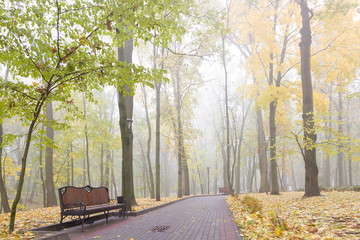 Naklejka na ściany i meble Gomel / Belarus - October 23, 2015: Morning. walk in the park Lu