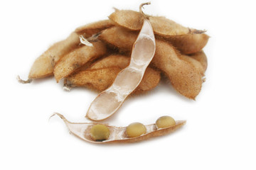 baccelli di soia su sfondo bianco