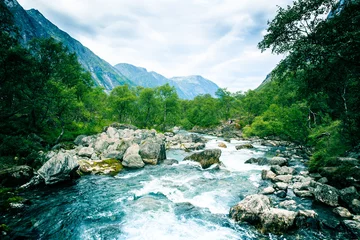 Foto op Canvas Stormy River in the mountains . © oleg_mj