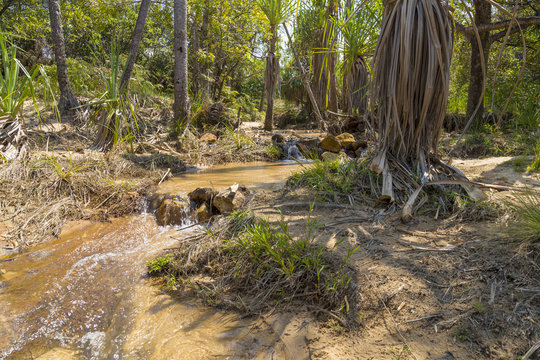 River stream on a rainforest in Isalo, Madagascar © jordieasy