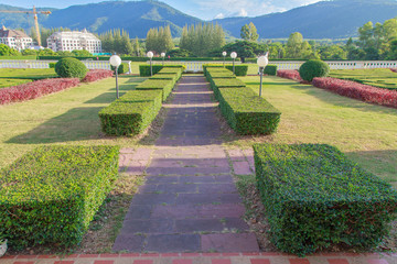 Lovely green garden