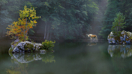 Einhorn am See