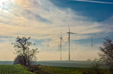 Obraz premium Windpark im auflösenden Nebel