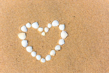 Fototapeta na wymiar sea shell heart on the sand beach