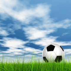 Conceptual 3D soccer ball in field grass with a  sky background