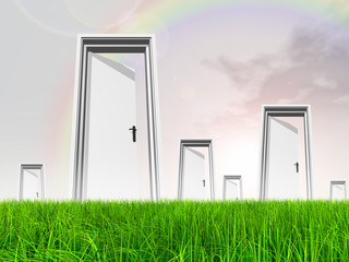 White door in grass with sky background