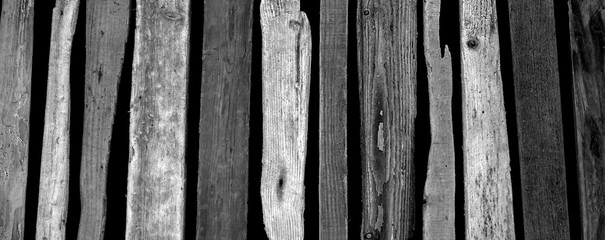 Driftwood wood panorama in black and white.