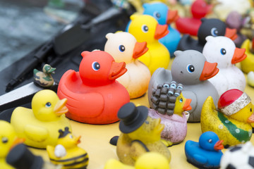 Fototapeta na wymiar many rubber ducks on car