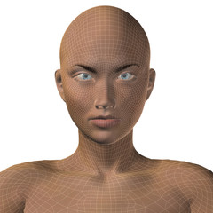 Conceptual 3D wireframe human female or woman face or head