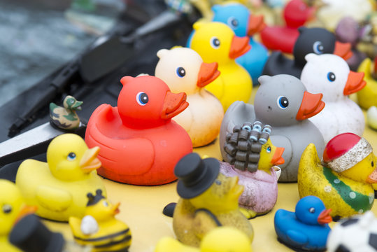 Many Rubber Ducks On Car