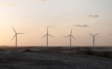 Windmill Power Plants, Taiba, Brazil