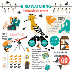 Naklejka premium Bird watching infographic template