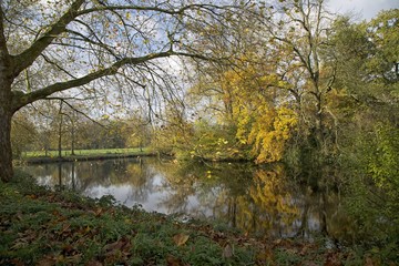 Heruntergefallene Herbstblätter
