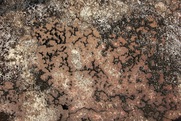 Old concrete rough rusty floor, texture and Background