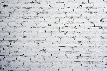 white brick wall as background.