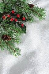 Naklejka na ściany i meble Christmas/ snow/ christmas tree branch/ christmas background