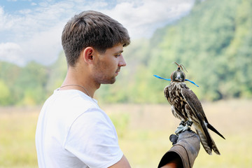 man holding a falcon - Powered by Adobe