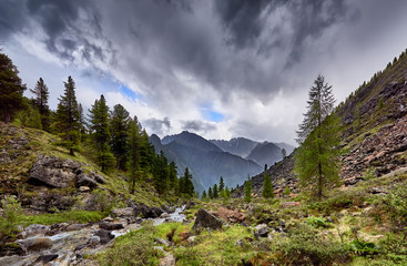 Overcast over mountain stream