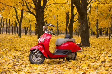 Vintage motorcycle in the autumn forest. 