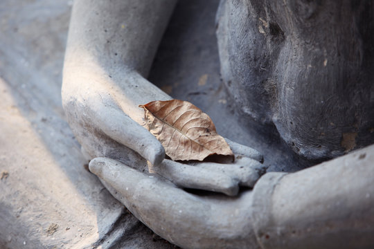 dry leaf on buddha image
