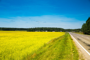 Fototapeta na wymiar Spring landscape , forest and yellow field