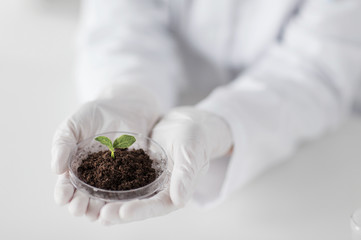 close up of scientist hands with plant and soil