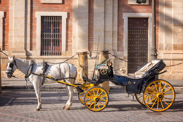 Horse carriage in Seville, Andalusia, Spain