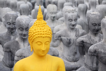 Fototapeta premium buddha statue