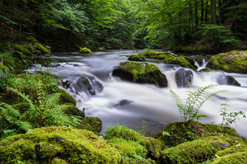 Sommer im Bodetal bei Thale