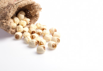 Dry lotus seeds on the white background
