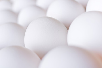 Background with many white fresh chicken eggs