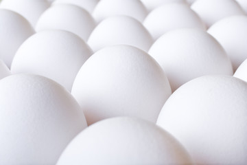 Background with many white fresh chicken eggs
