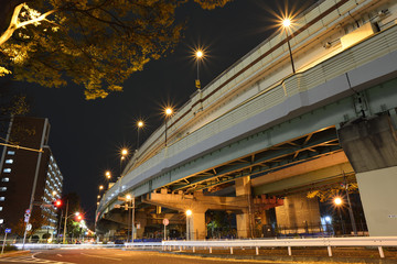 Highway bridge and city lights at midnight in Tokyo.