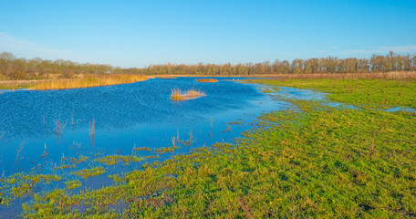 Shore of a sunny lake in autumn