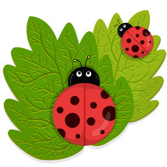 Obraz premium Ladybug on green leaf
