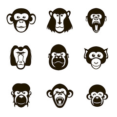 Fototapeta premium 9 vector icons monkeys