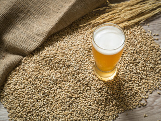 Glass of beer on malt grains