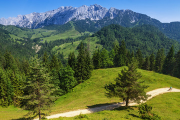 Fototapeta premium Alps Mountains Landscape. View of the Wilder Kaiser Range, Austria, Tirol