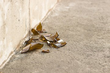 Fragments of glass bottles shattered on the floor. The danger is all around
